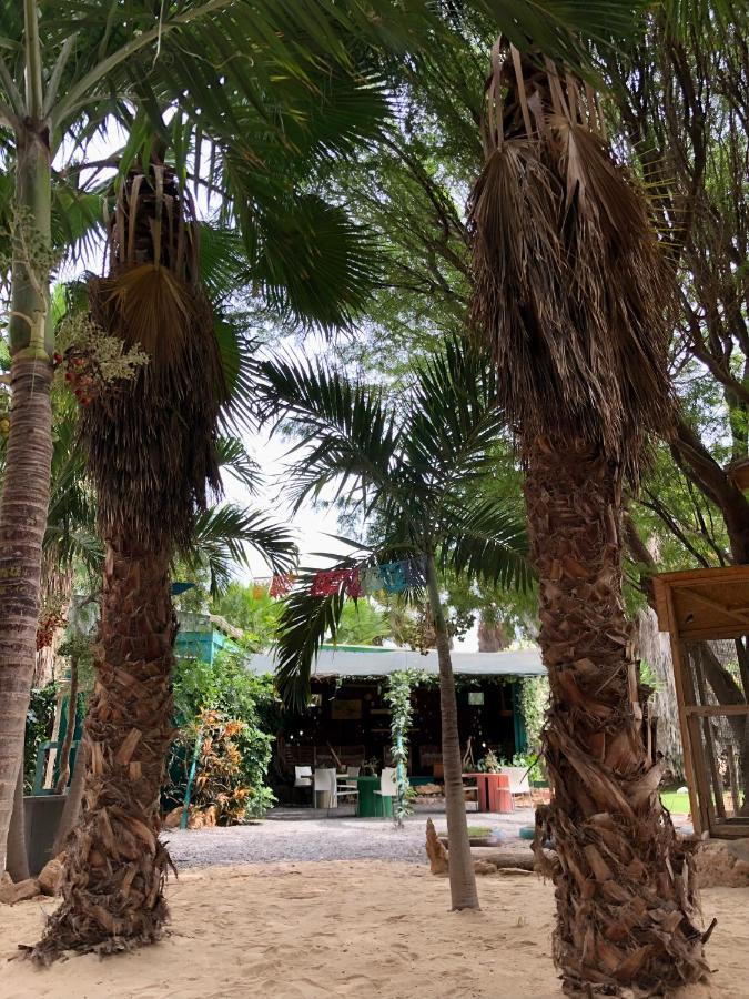 Tropical Morabeza Apartment Santa Maria Ngoại thất bức ảnh
